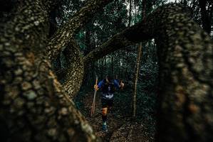 BIB: 
                            <button type="button" onclick="openModal(25673704)" class="btn btn-primary btn-sm float-right btn-popup" data-toggle="modal" data-target=".modal-high-quality">
                        <i class="fas fa-shopping-cart"></i> Add to Cart
                    </button>
                                            <button type="button" onclick="isThisMe(25673704, true)" class="btn btn-success btn-sm float-right btn-popup btn-isme hidden" data-toggle="tooltip" data-placement="bottom" title="นี่คือรูปของคุณใช่ไหม คลิกที่นี่เพื่อเอาเข้าอัลบั้ม">
                        <i class="fas fa-plus"></i> Add to album
                    </button>
                    <button type="button" onclick="isThisMe(25673704, false)" class="btn btn-warning btn-sm float-right btn-popup btn-isnotme hidden">
                        <i class="fas fa-ban"></i> Remove from album
                    </button>